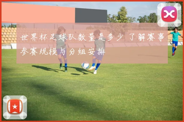 世界杯足球队数量是多少 了解赛事参赛规模与分组安排