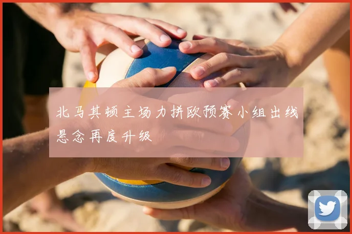 北马其顿主场力拼欧预赛小组出线悬念再度升级