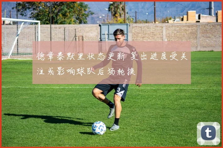 德章泰默里状态更新 复出进度受关注或影响球队后场轮换