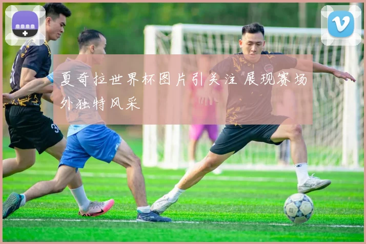夏奇拉世界杯图片引关注 展现赛场外独特风采