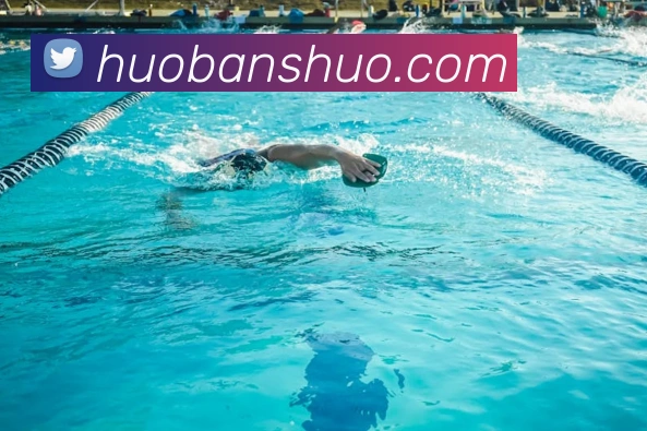 App Interface Preview